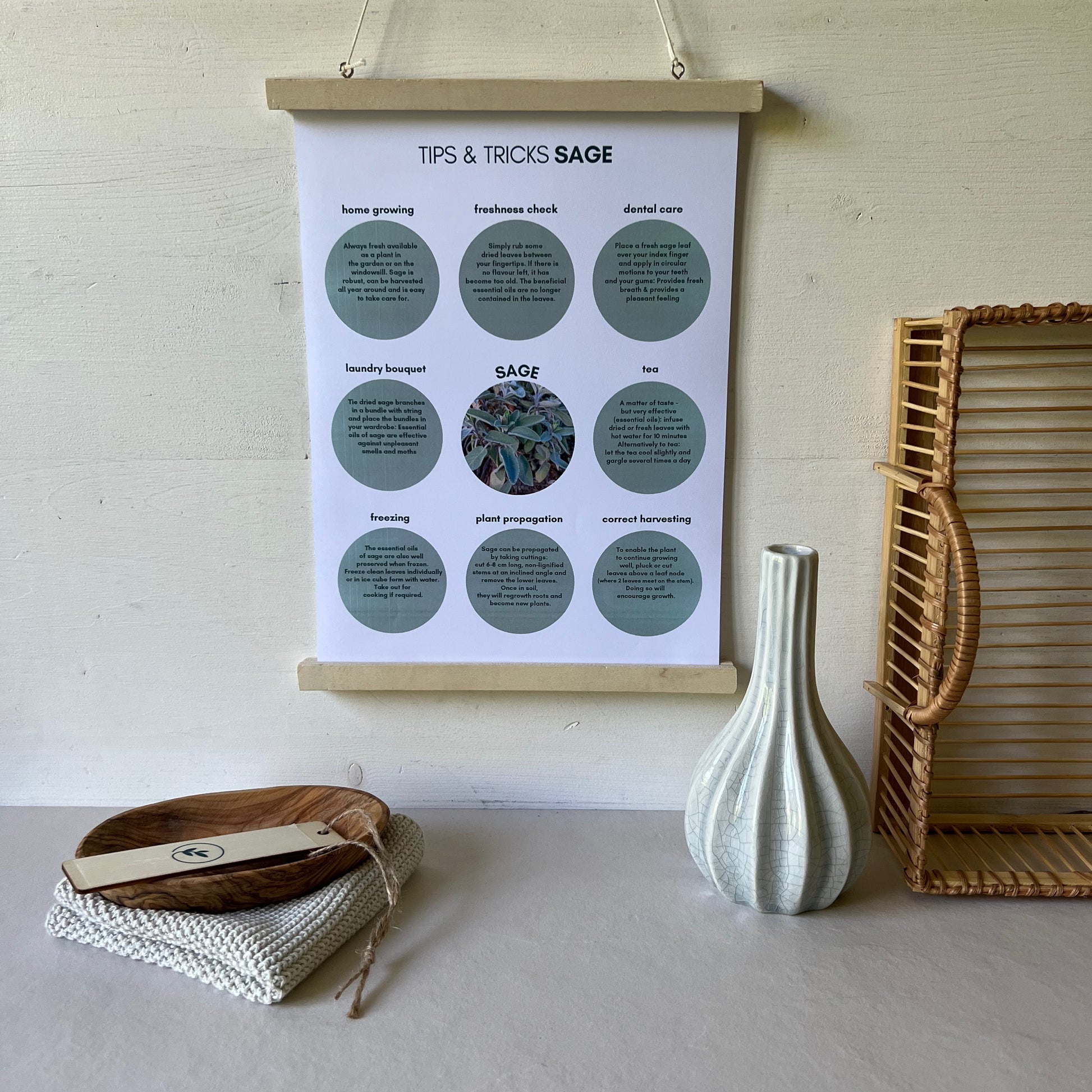 Tipps-und-Tricks-sage-ENG-foodigence-2