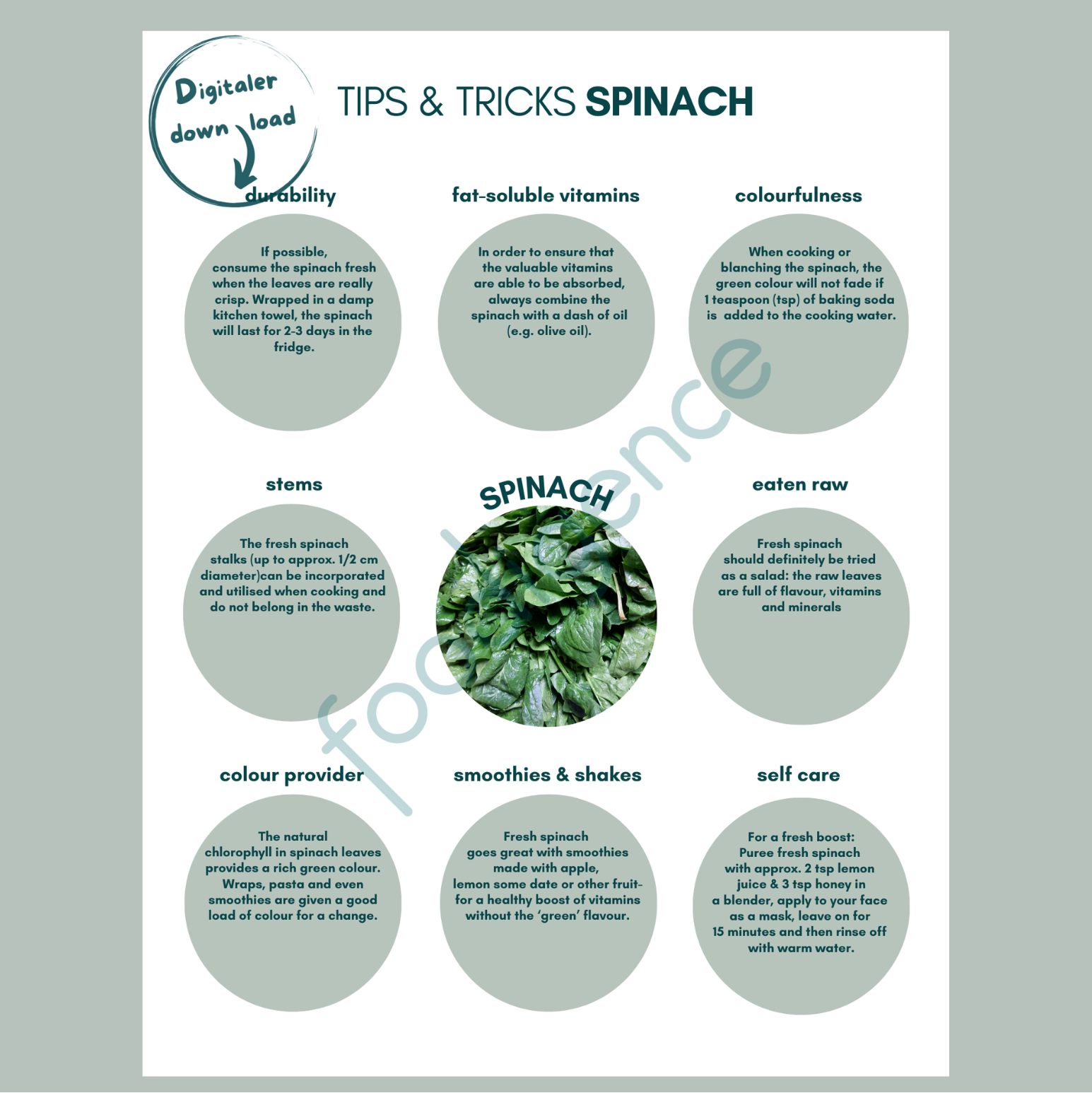 Tipps-und-Tricks-spinach-ENG-foodigence-1