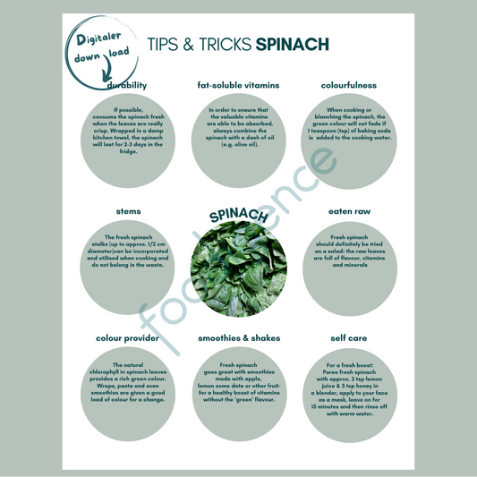 Tipps-und-Tricks-spinach-ENG-foodigence-1
