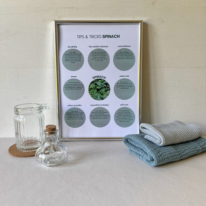 Tipps-und-Tricks-spinach-ENG-foodigence-4