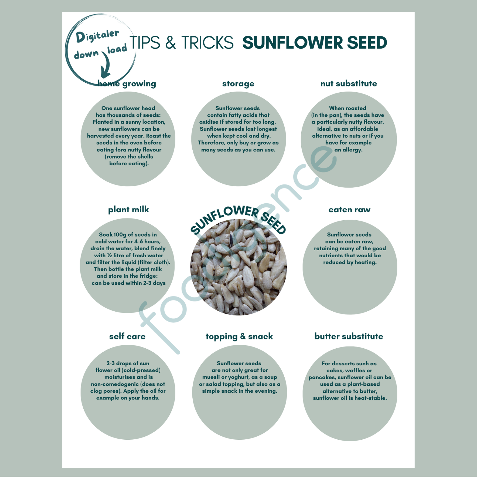 Tipps-und-Tricks-sunflower-seeds-ENG-foodigence-1