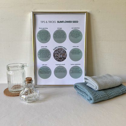 Tipps-und-Tricks-sunflower-seeds-ENG-foodigence-4