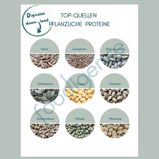 Top-Quellen-pflanzliche-Proteine-foodigence-5