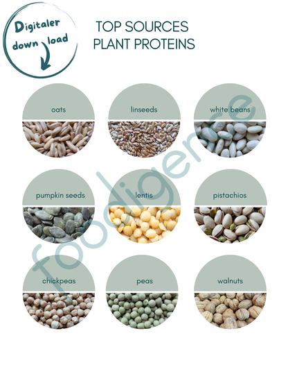 Top-Sources-Plant-Proteins-ENG-foodigence-1