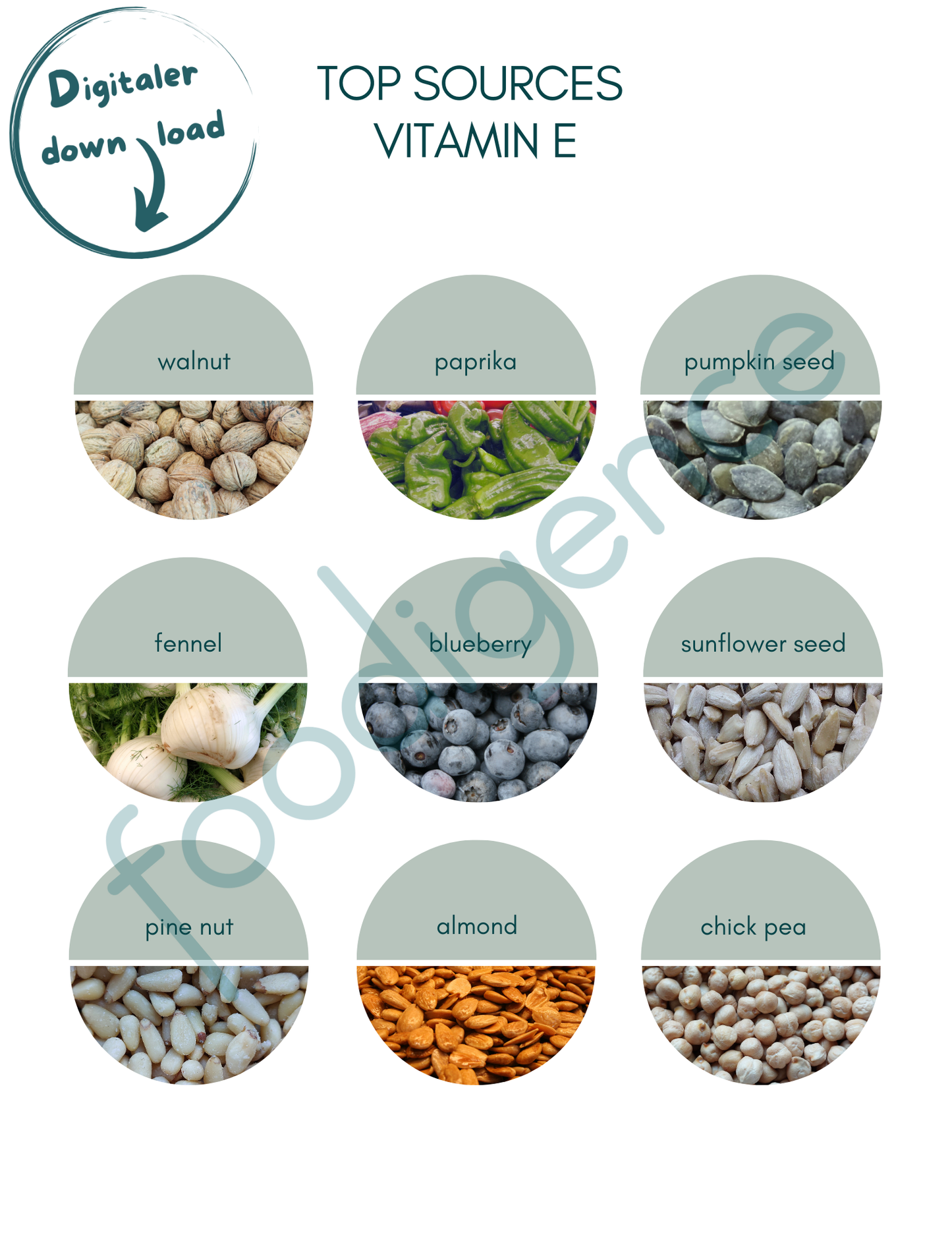 Vitamin E foods top 9 sources - foodigence infographic