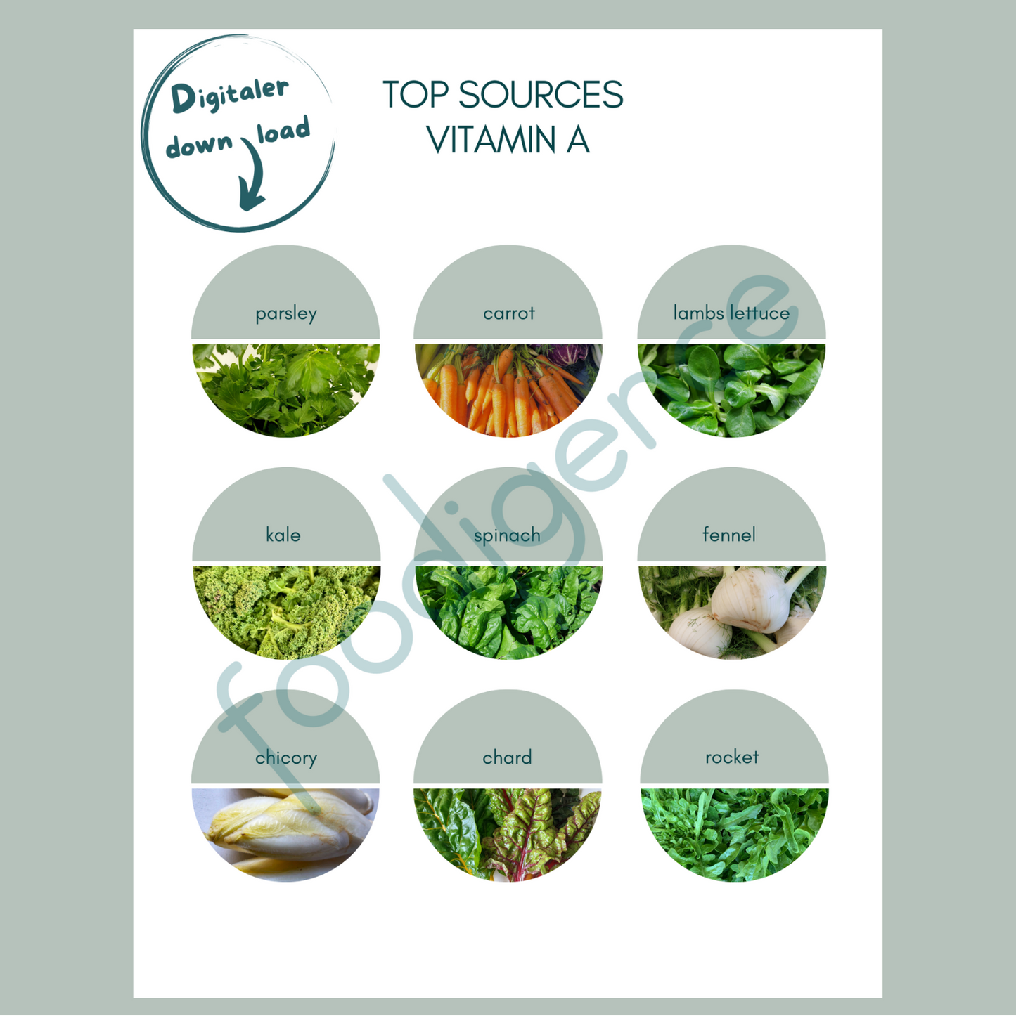 foodigence philosophy - healthy eating guide