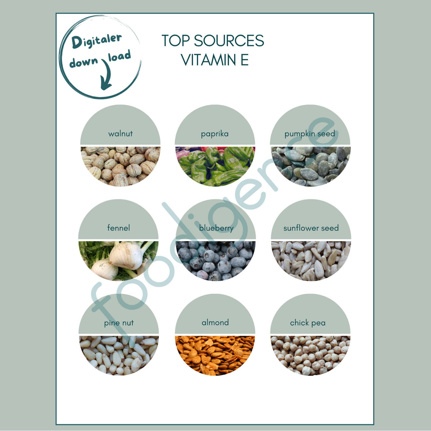 foodigence philosophy - healthy eating guide