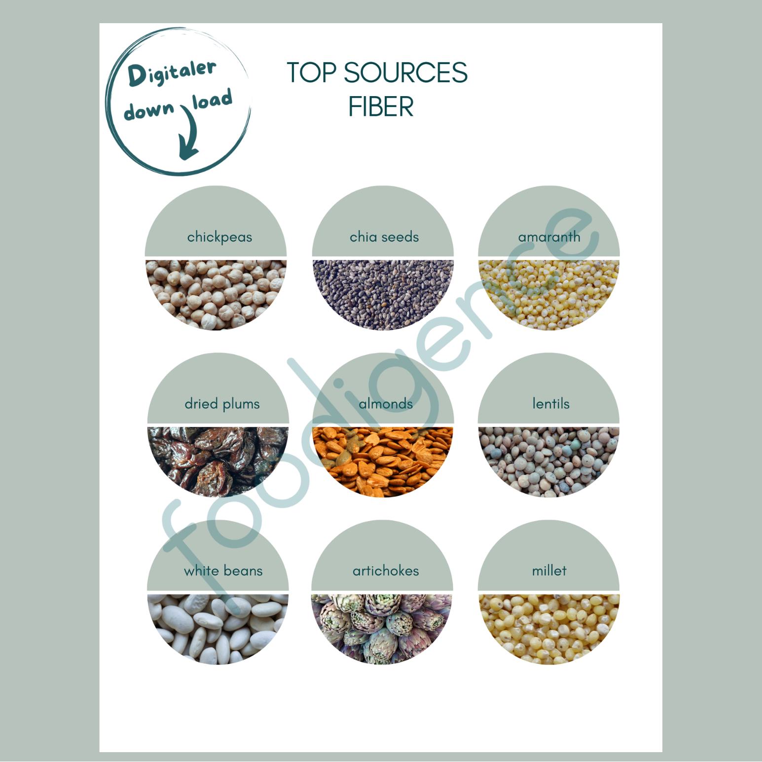 Top-sources-fiber-foodigence-5