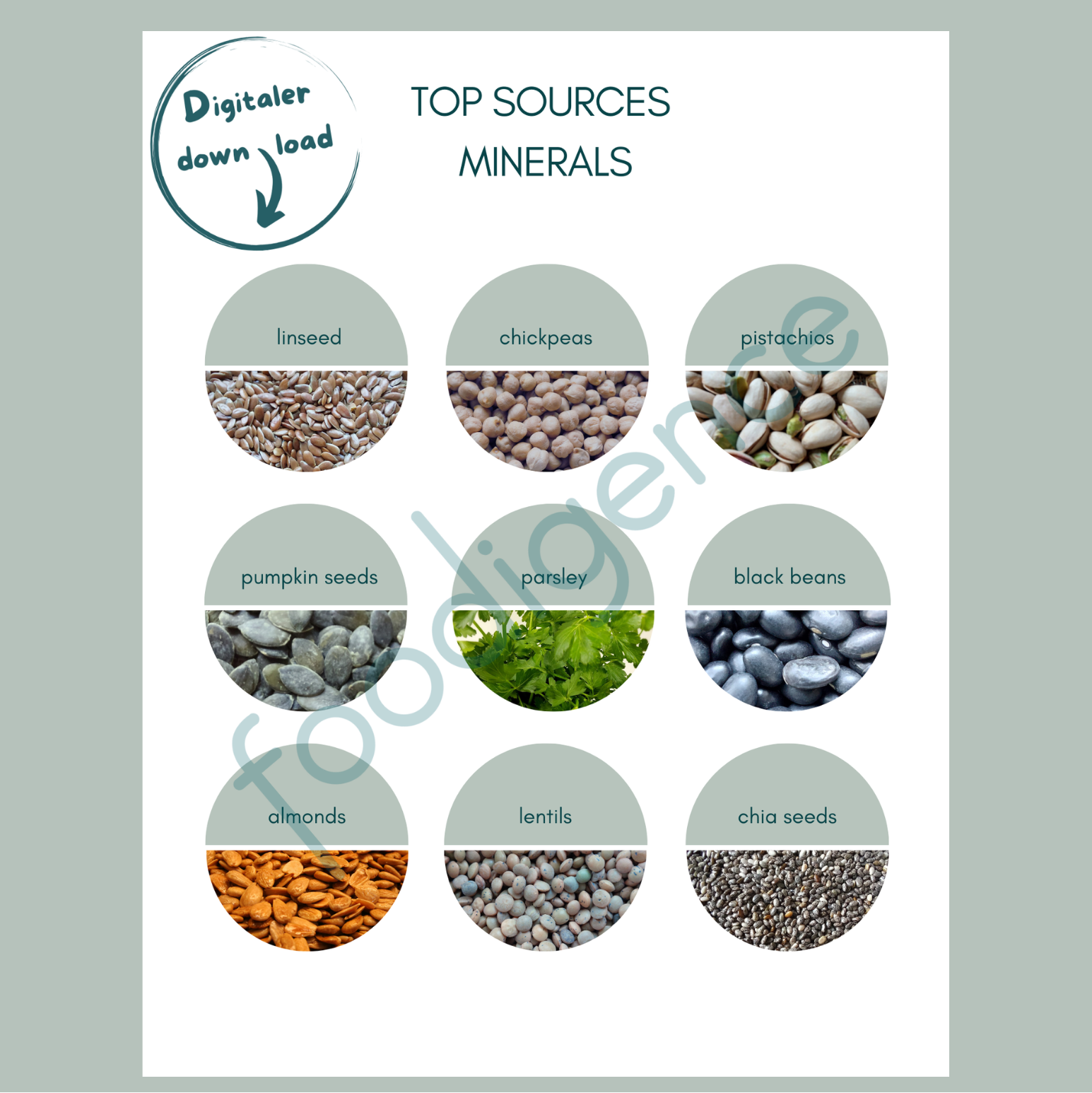Top-sources-minerals-foodigence-5