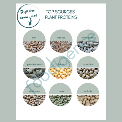 Top-sources-plant-Proteine-foodigence-5