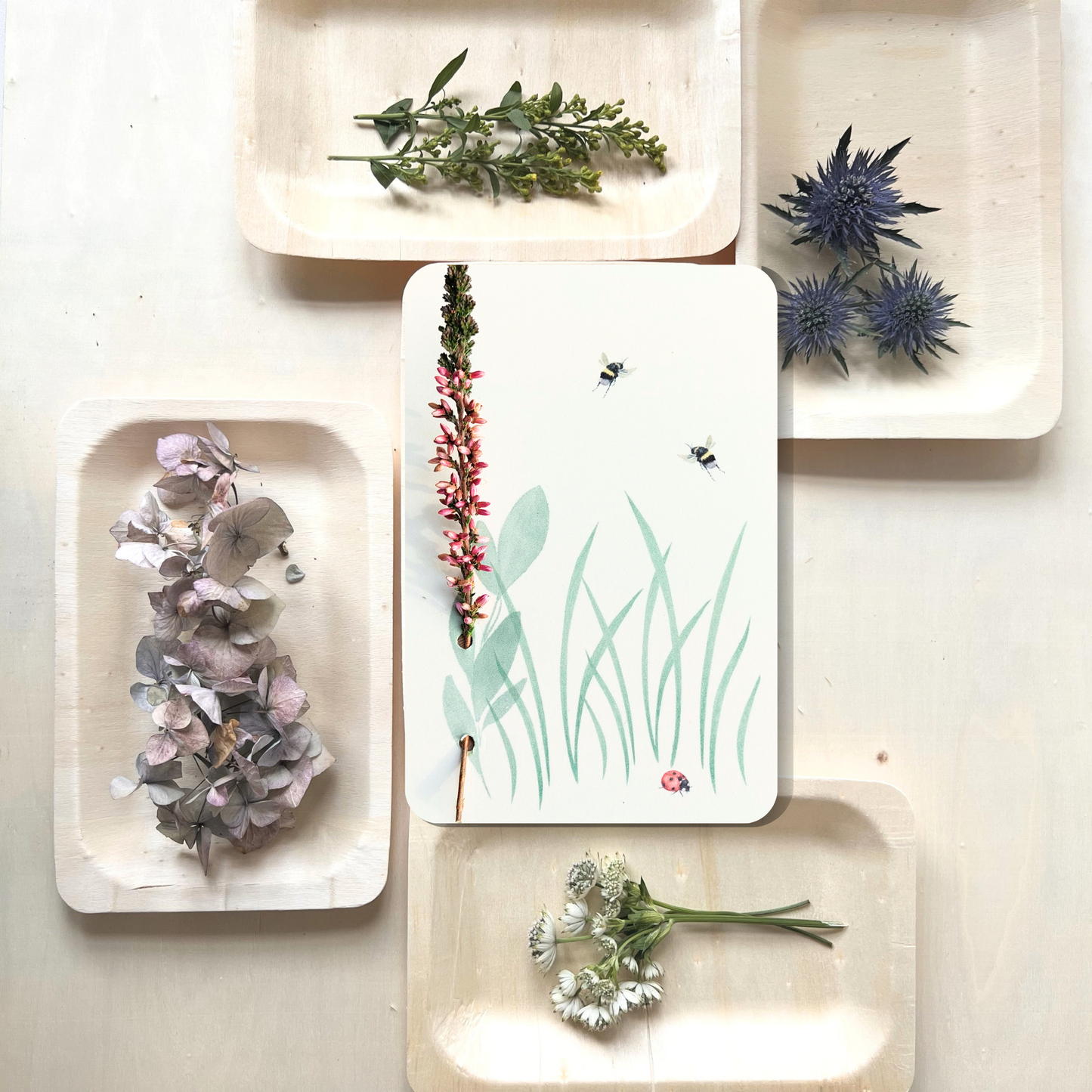 Trockenblume Postkarte mit Hummeln und Marienkäfer