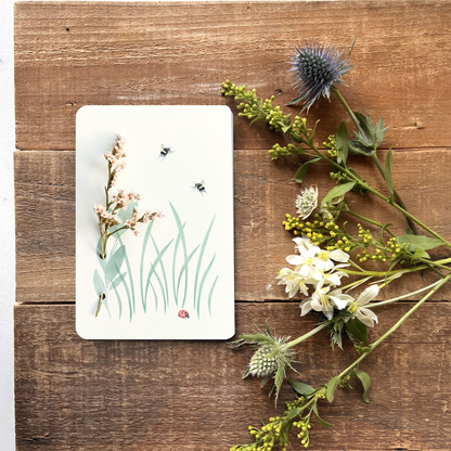 Strandflieder-Postkarte