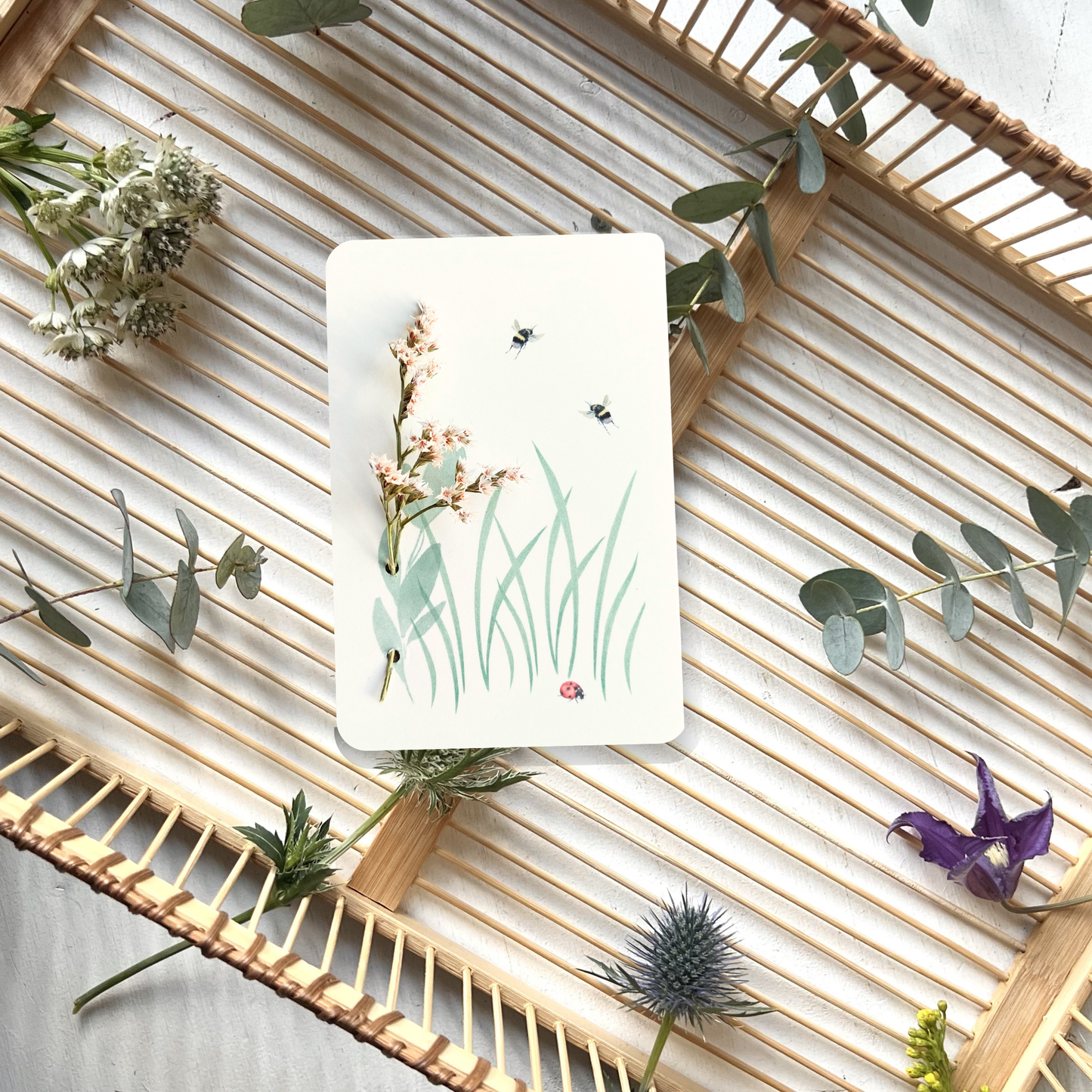 Trockenblume Postkarte