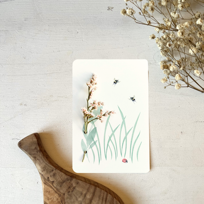 Strandflieder-Postkarte liegend