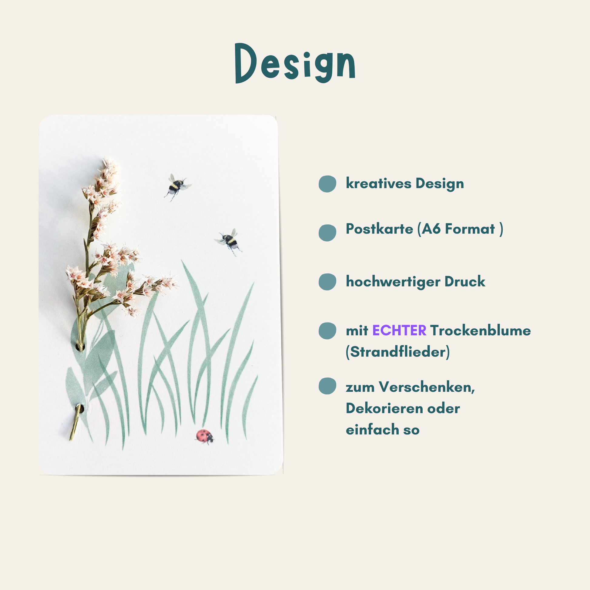 Übersicht Strandfliederkarte