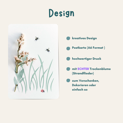 Übersicht Strandfliederkarte