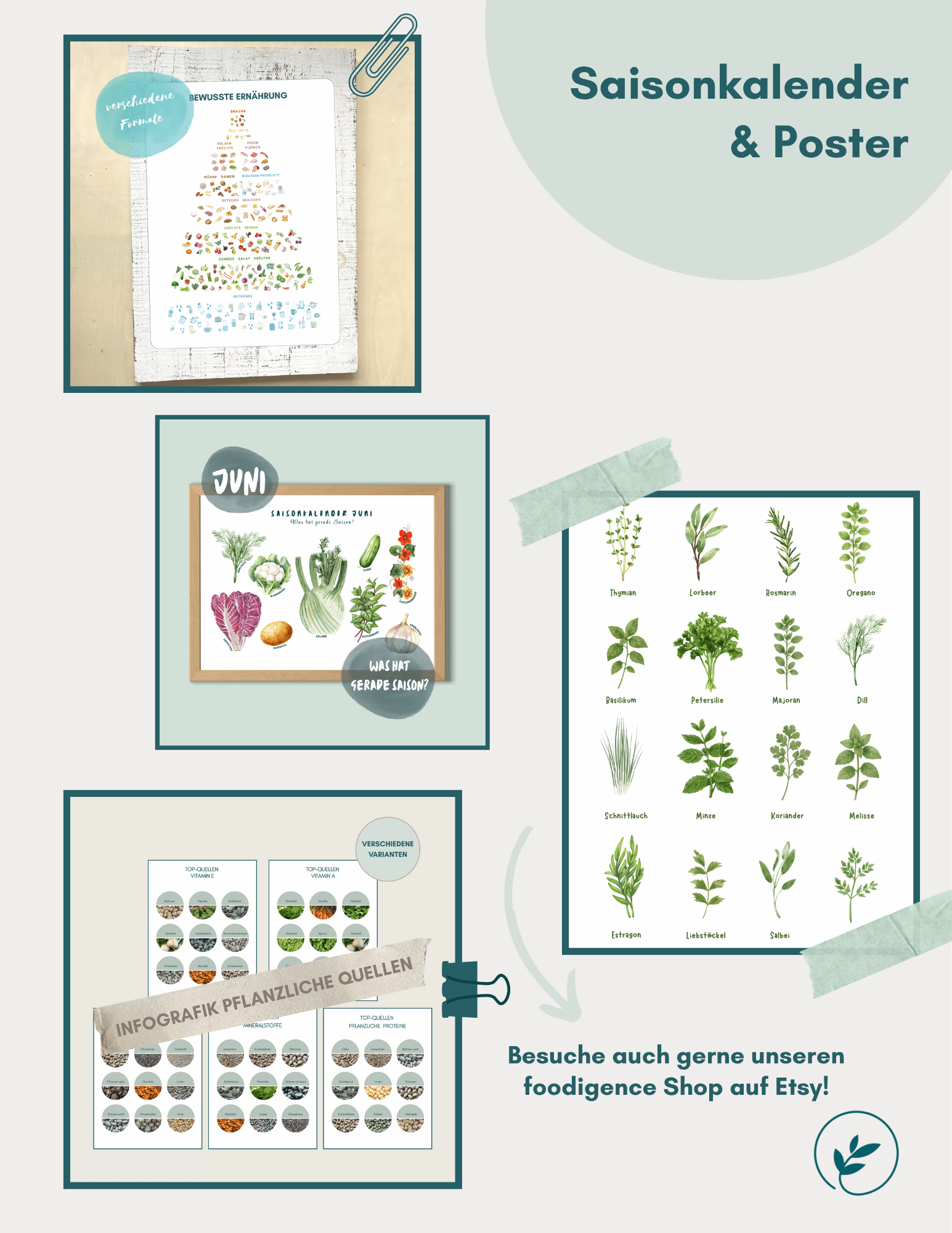 "Was ist foodigence" Saisonkalender & Poster