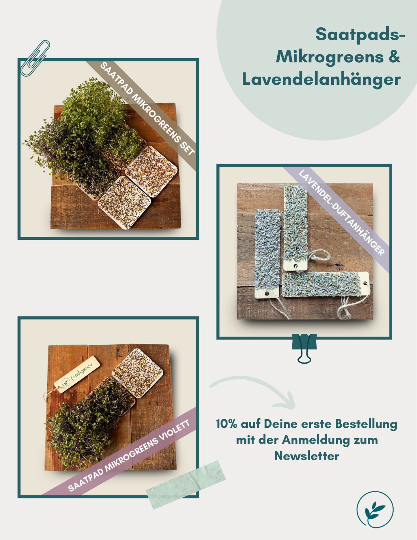"Was ist foodigence" Saatpads- Mikrogreens & Lavendelanhänger