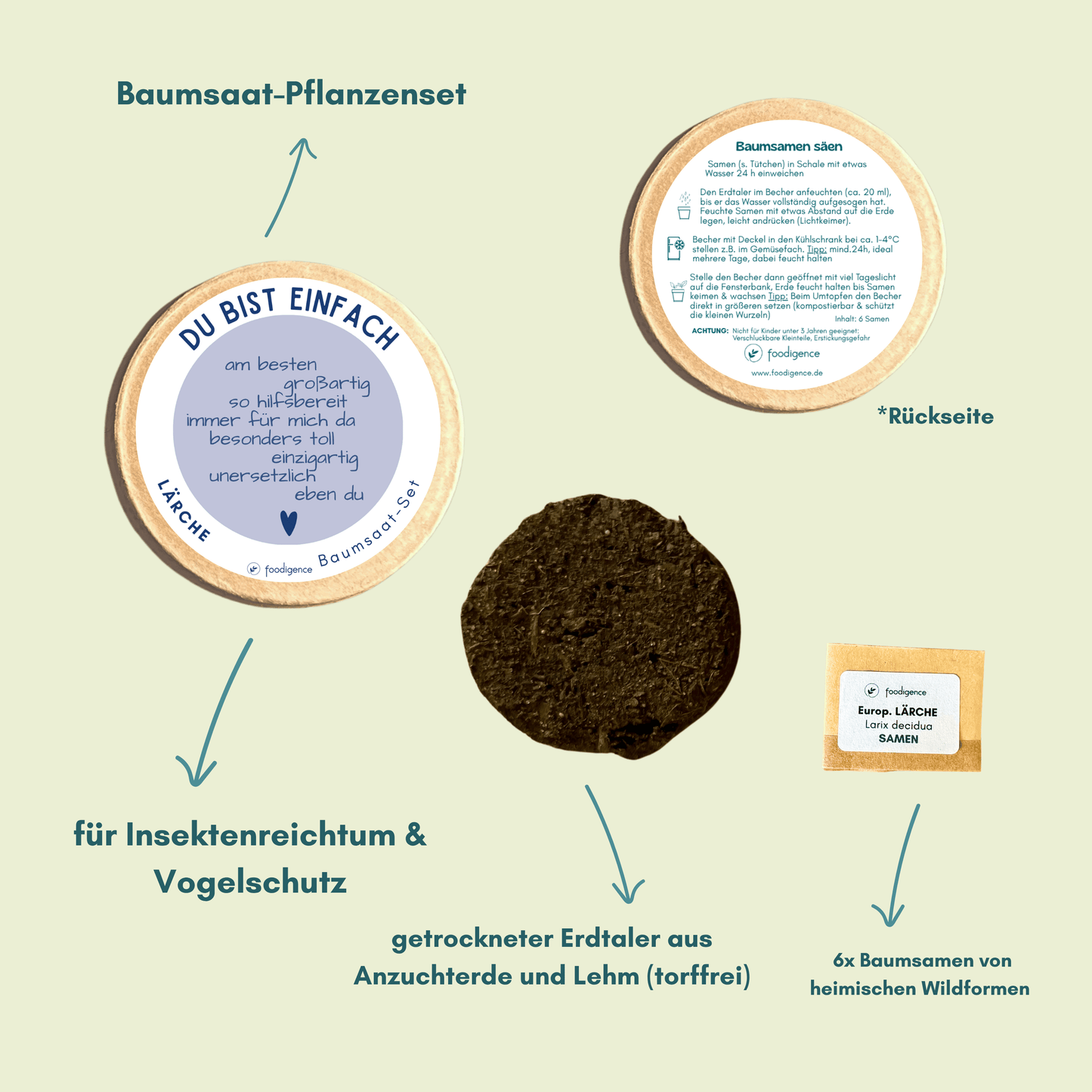 Baumsaat Set Information Vorder- und Rückseite