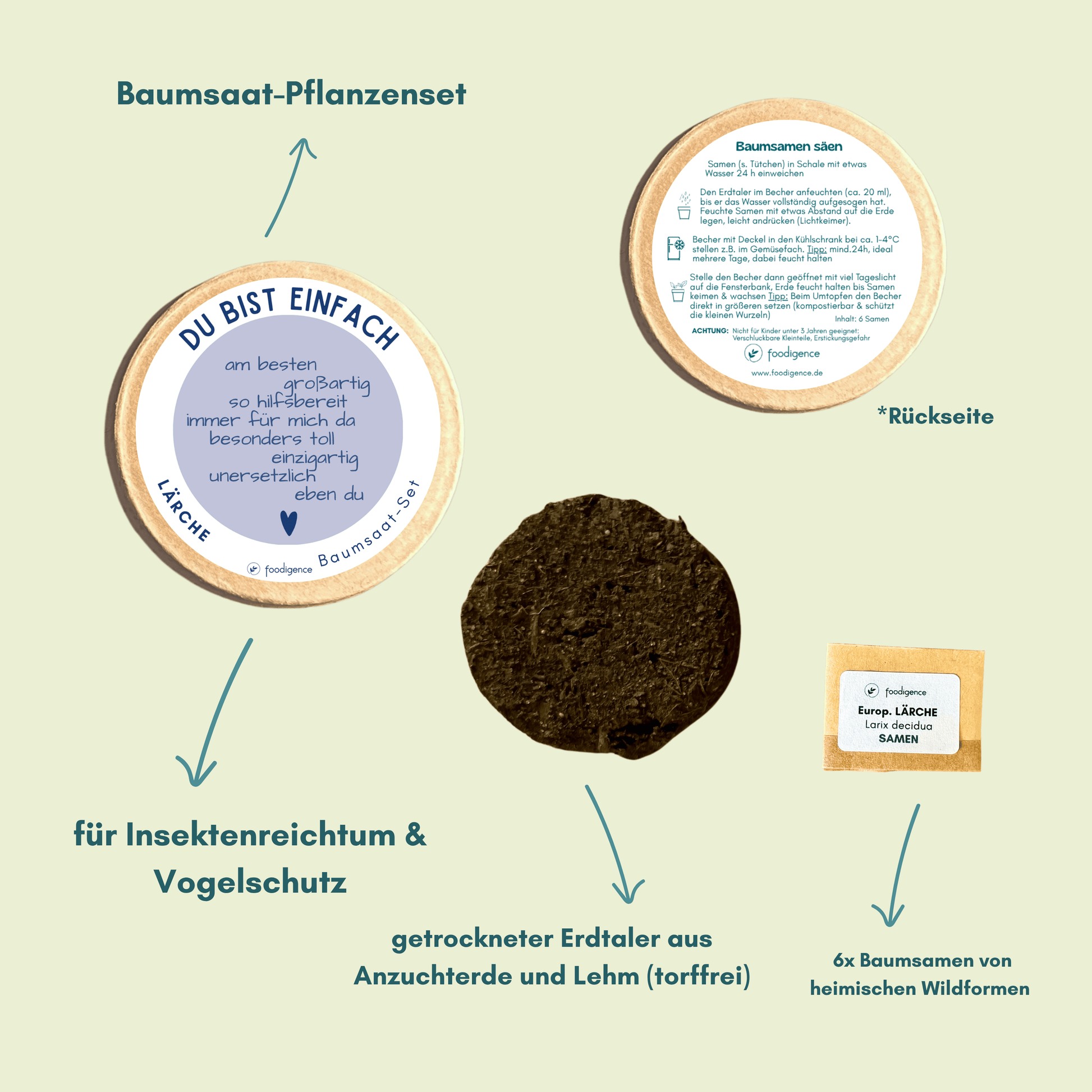 Baumsaat Set Information Vorder- und Rückseite