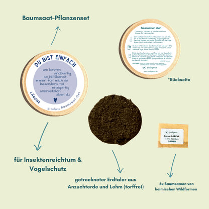 Baumsaat Set Information Vorder- und Rückseite