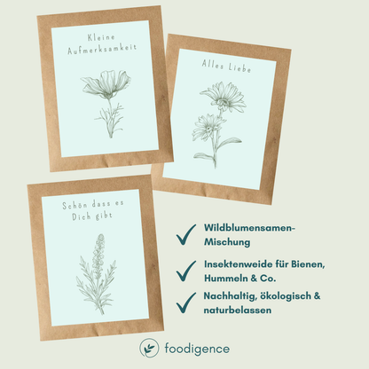 Benefits der Samentütchen mit Wildblumesamen