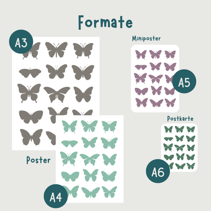 Schmetterlinge Poster & Postkarte – 16 Schmetterlingsarten im Überblick I A6-A3