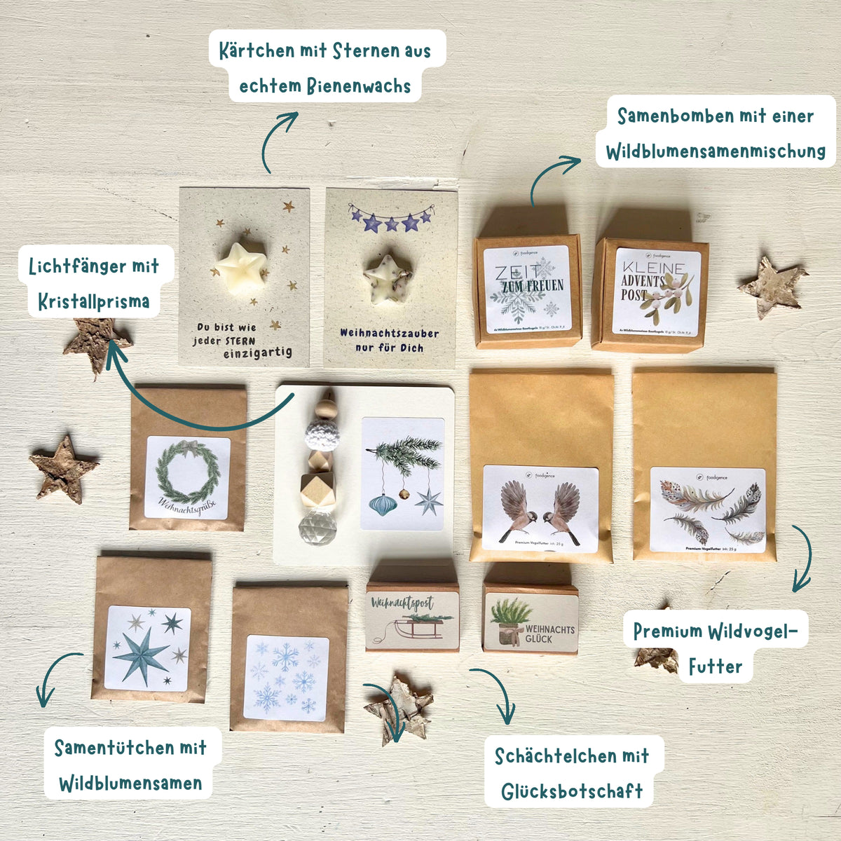 foodigence Inhaltsübersicht des Adventskalenders mit 12 Überraschungen aus den Kategorien Sonnenfänger, Samentütchen, Weihnachtsbotschaften, Premium-Vogelfutter, Saatkugeln und Bienenwachsstern-Karten