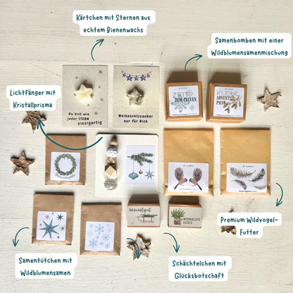 foodigence Inhaltsübersicht des Adventskalenders mit 12 Überraschungen aus den Kategorien Sonnenfänger, Samentütchen, Weihnachtsbotschaften, Premium-Vogelfutter, Saatkugeln und Bienenwachsstern-Karten