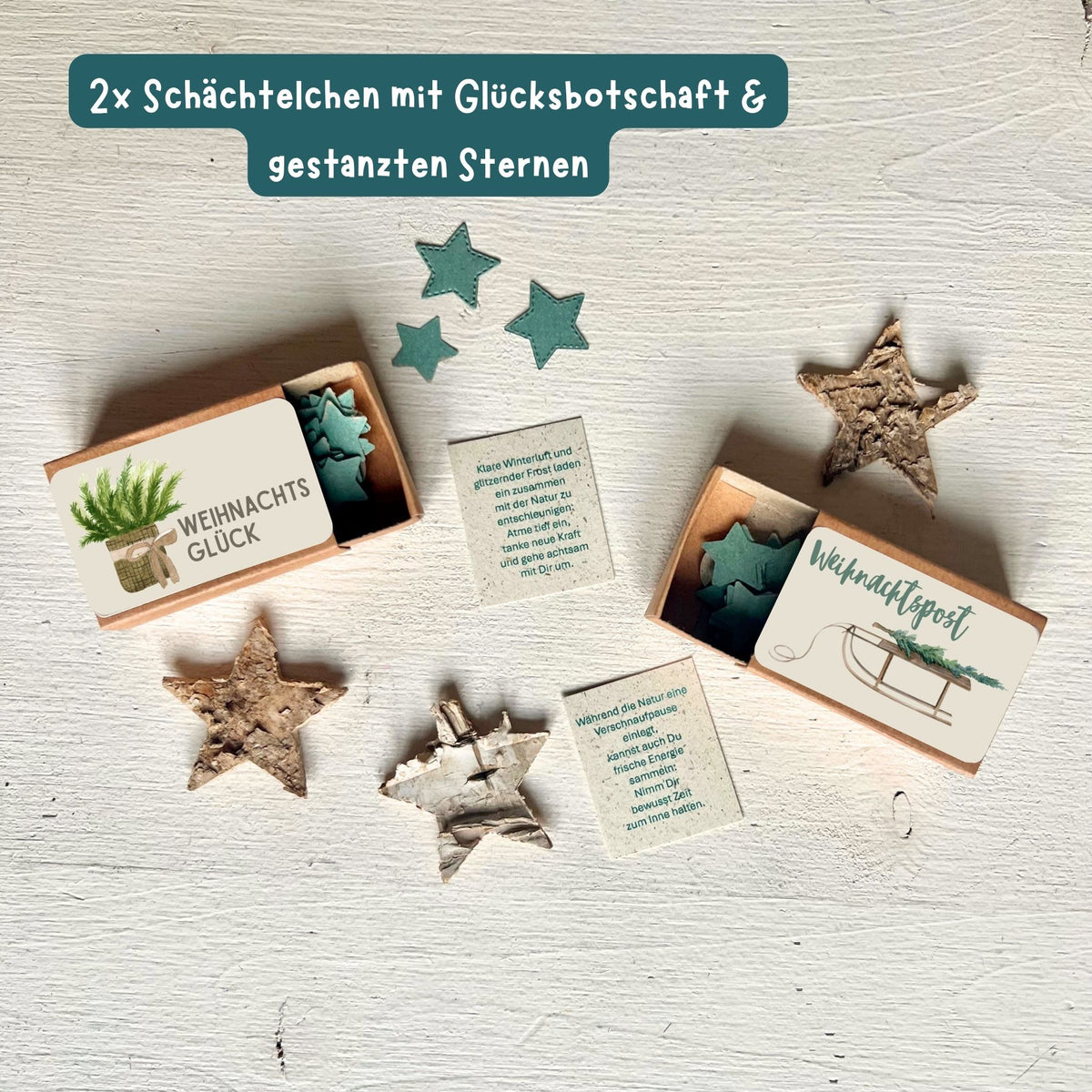 foodigence Zwei Weihnachtsbotschaften im Schächtelchen mit ausgestanzten Sternen und Grüßen auf Graspapier als Bestandteile des Adventskalender-Geschenksets