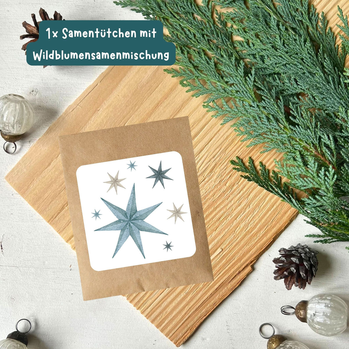 foodigence Samentütchen mit Wildblumensamen und türkisfarbenen Weihnachtsstern-Motiven als natürliche Adventskalender-Füllung und kleine Geschenkidee 