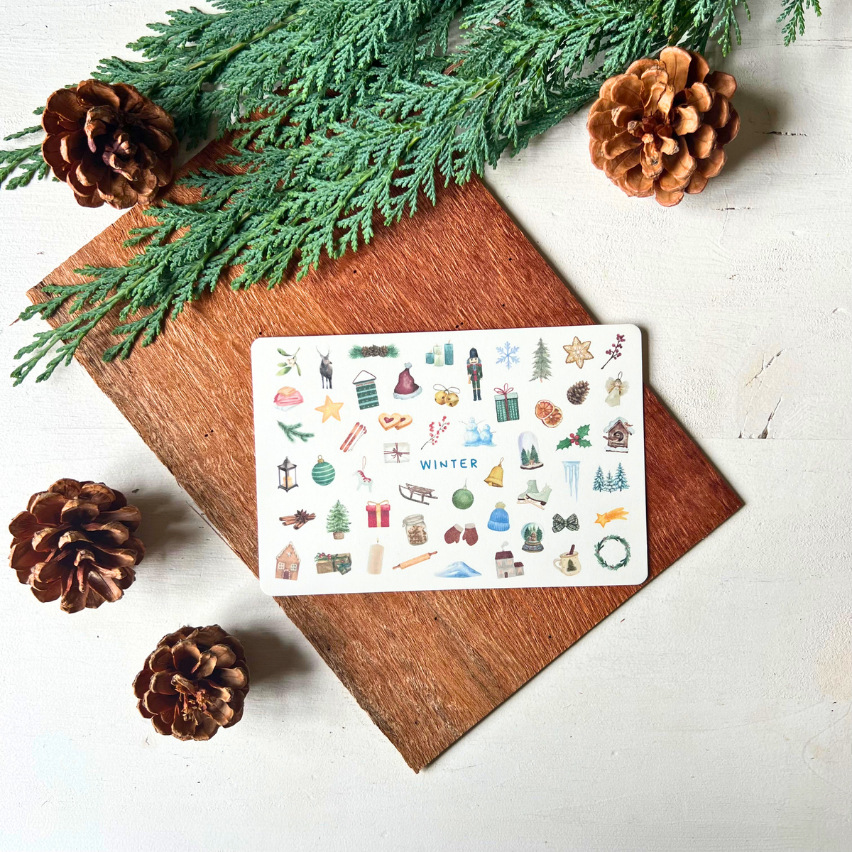 Postkarte Winter liegend mit Tannengrün & Zapfen von foodigence hier Winter
