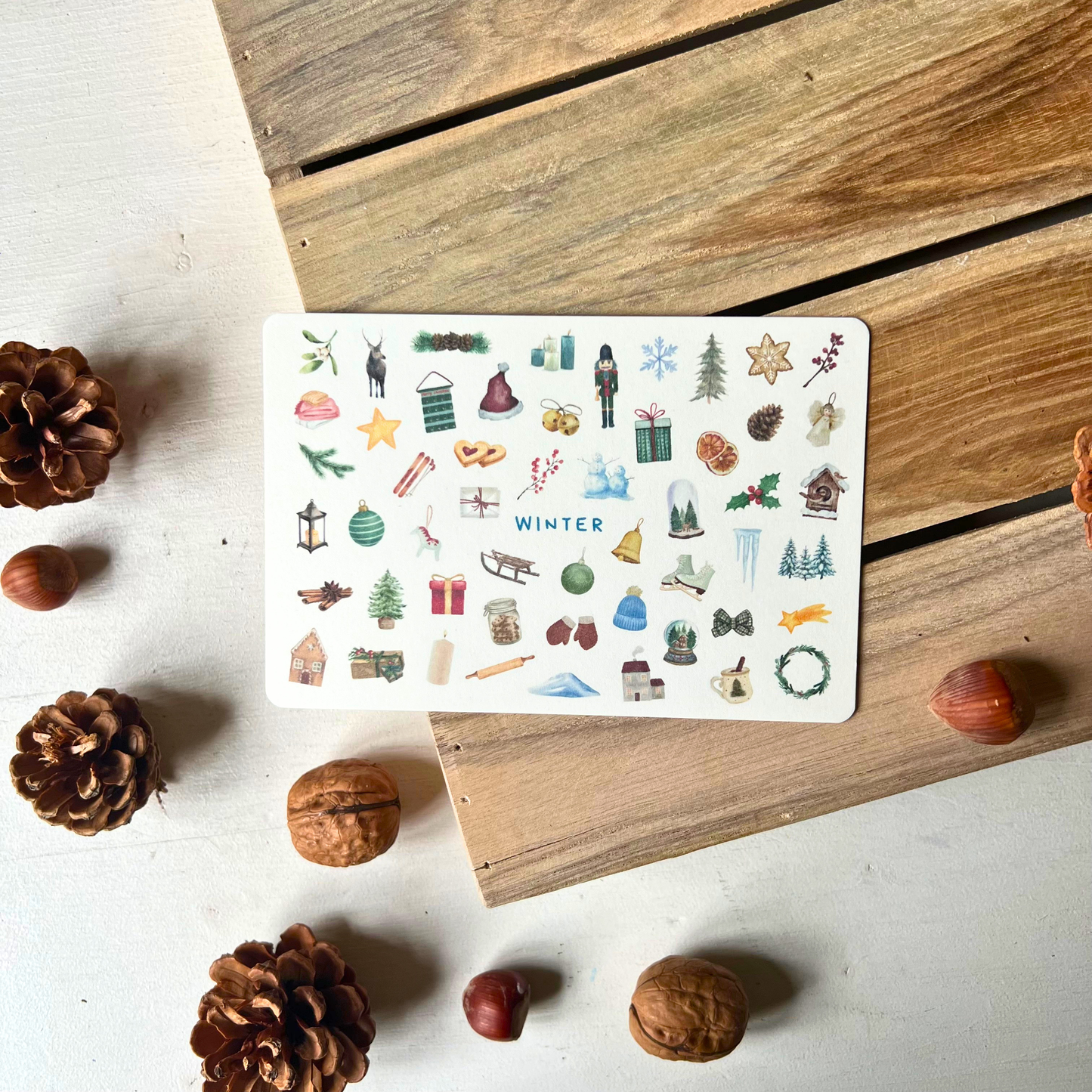 Postkarte Winter liegend mit Tannenzapfen von foodigence 