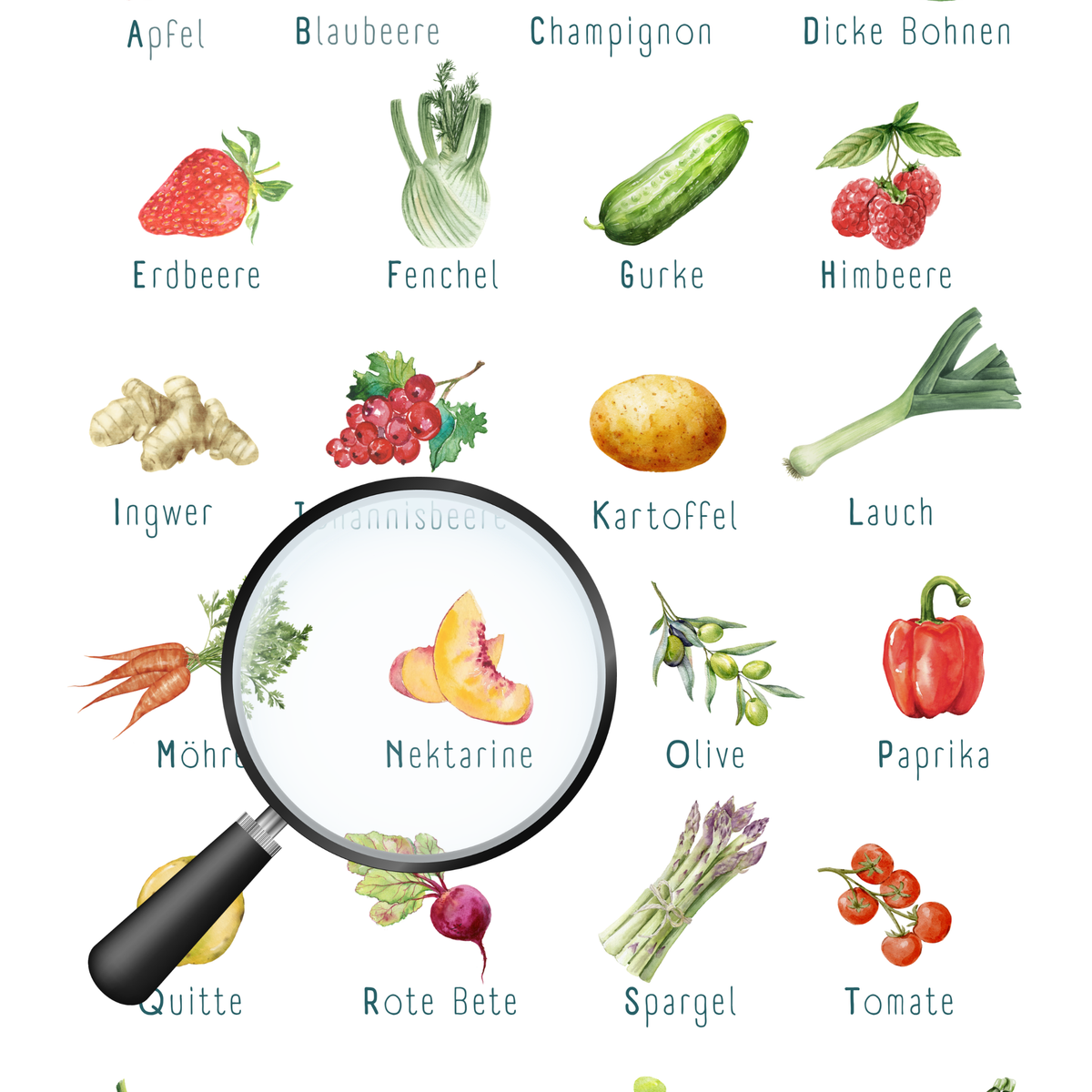 Poster von foodigence mit regionalen Produkten als ABC sortiert vergößert