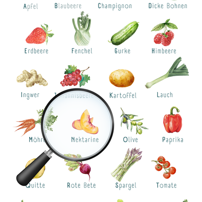 Poster von foodigence mit regionalen Produkten als ABC sortiert vergößert