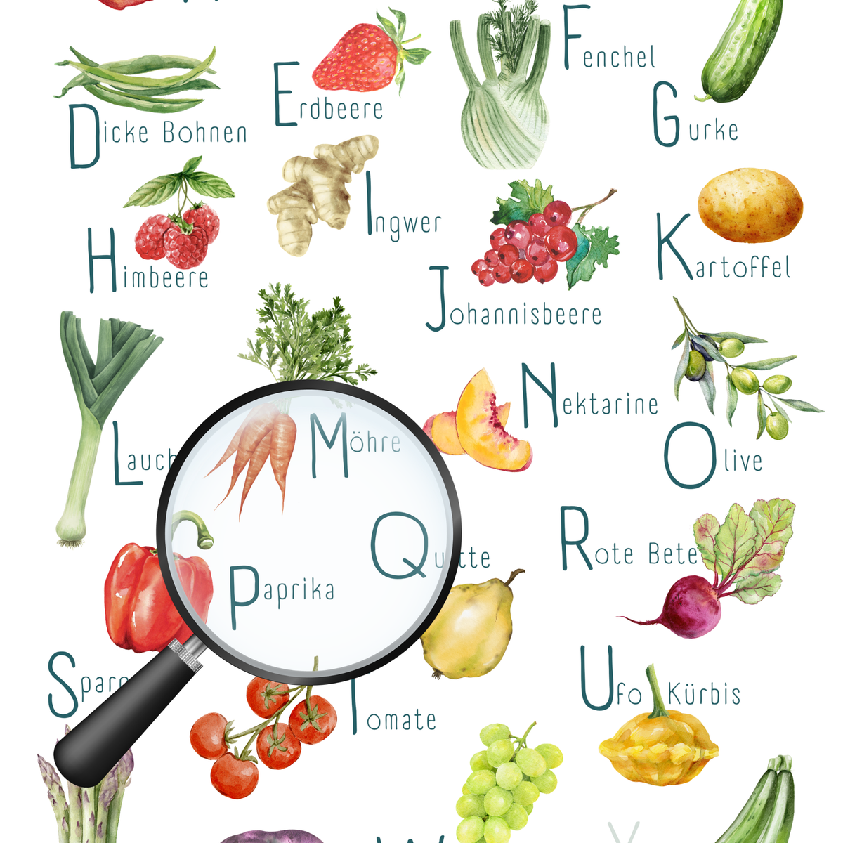 Poster von foodigence mit regionalen Produkten als ABC unsortiert (Collage) vergrößert