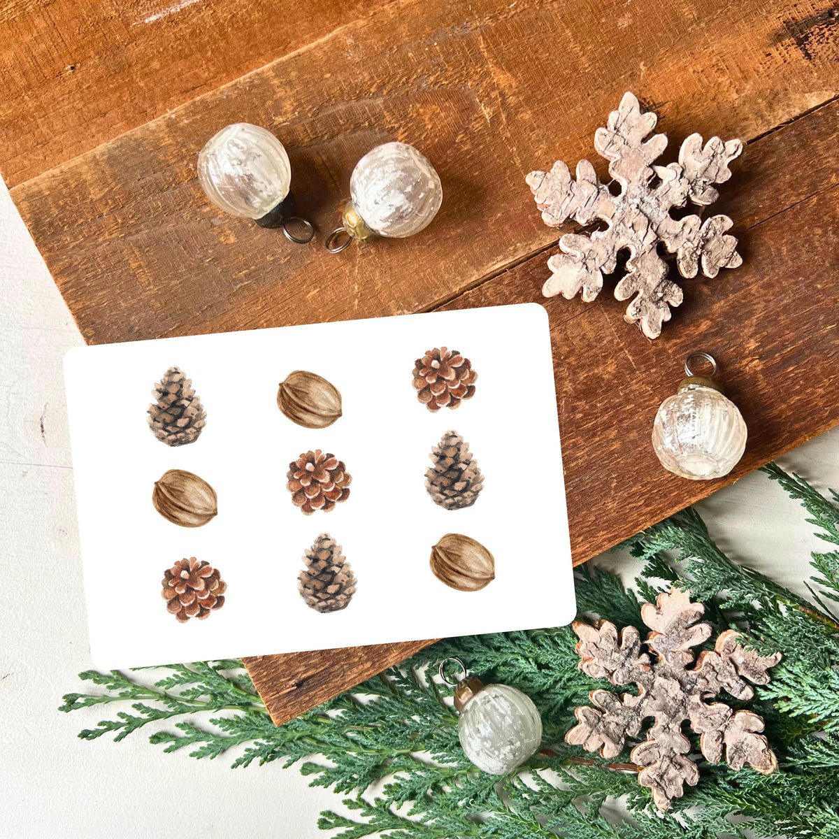 Karte mit angeordneten Tannenzapfen und Walnüssen iner einer ästethischen Weise aus dem Weihnachtspostkarten Set von foodigence