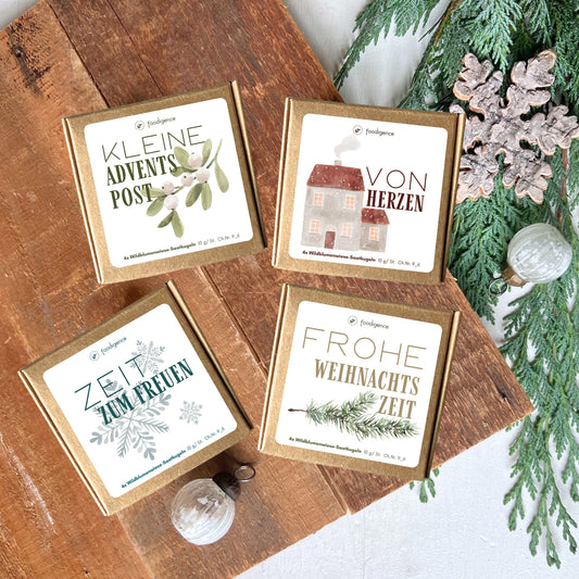 Übersicht winterliche Designs für Weihnachten und Adventszeit zum Verschenken - 4 neue Designs für Saatkugeln / Samenbomben aus Wildblumensamen von foodigence 