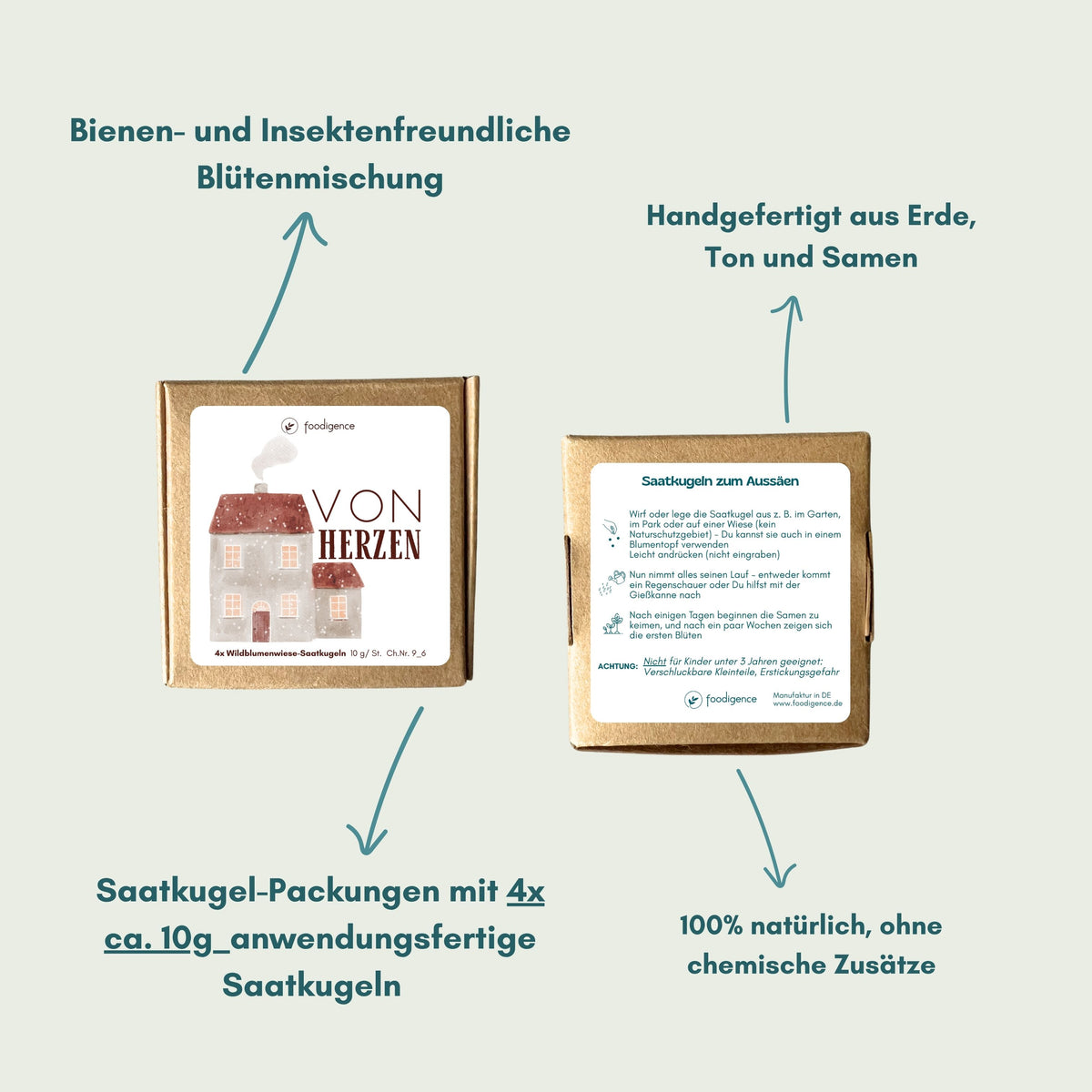 Übersicht Saatkugeln / Samenbomben im 4er Set aus Wildblumensamen von foodigence - Vorder- und Rückseite und Beschreibung Inhalt und Anwendung 