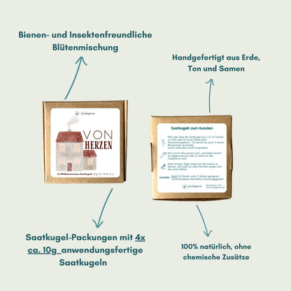 Übersicht Saatkugeln / Samenbomben im 4er Set aus Wildblumensamen von foodigence - Vorder- und Rückseite und Beschreibung Inhalt und Anwendung 