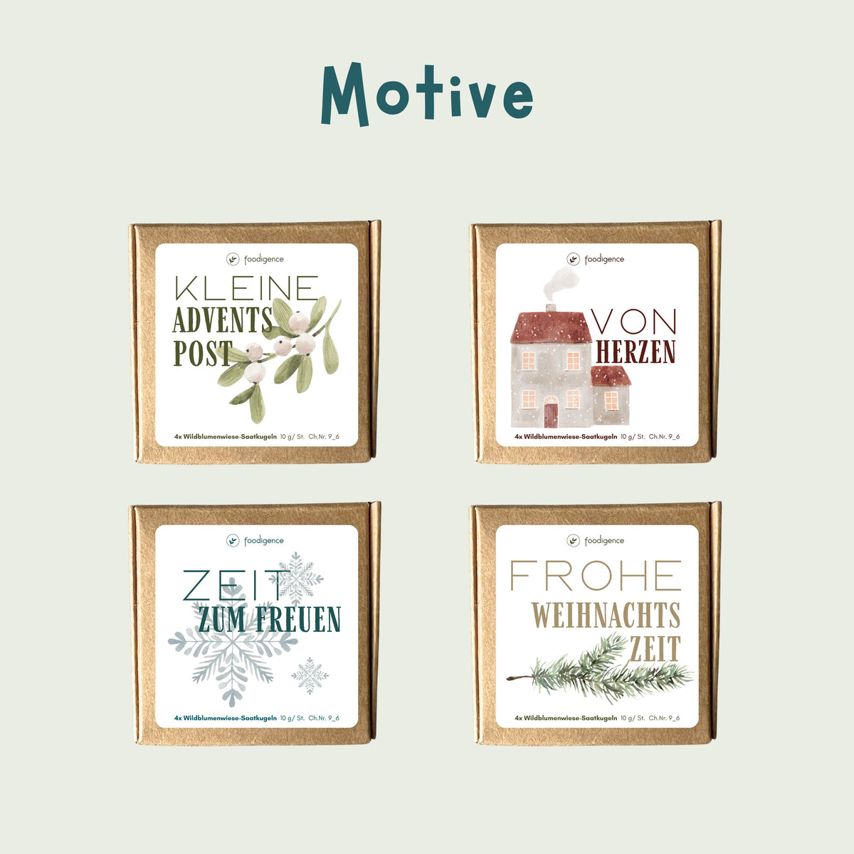 Alle Motive der Saatkugeln im 4er Set mit Wildblumensamen von foodigence - neue winterliche Designs (4 Stück) in der übersichtlichen Anordnung 