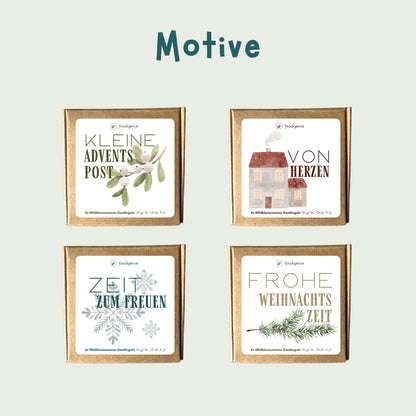 Alle Motive der Saatkugeln im 4er Set mit Wildblumensamen von foodigence - neue winterliche Designs (4 Stück) in der übersichtlichen Anordnung 