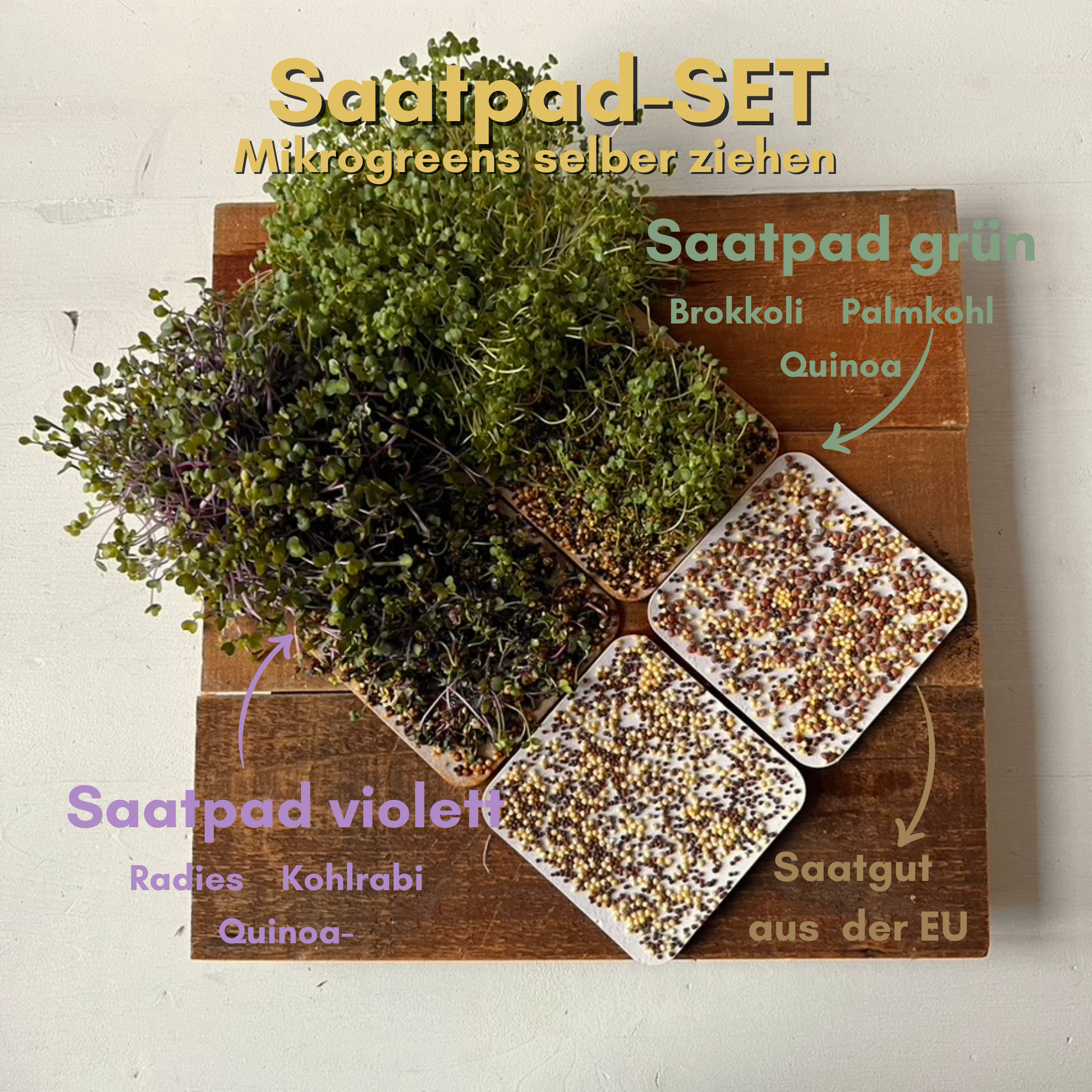 kombipaket-saatpads-gruen-violett-foodigence-1