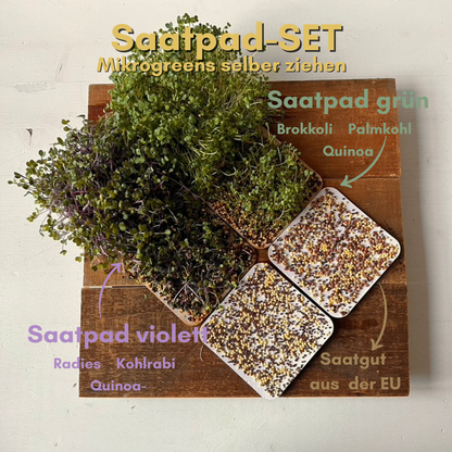kombipaket-saatpads-gruen-violett-foodigence-1