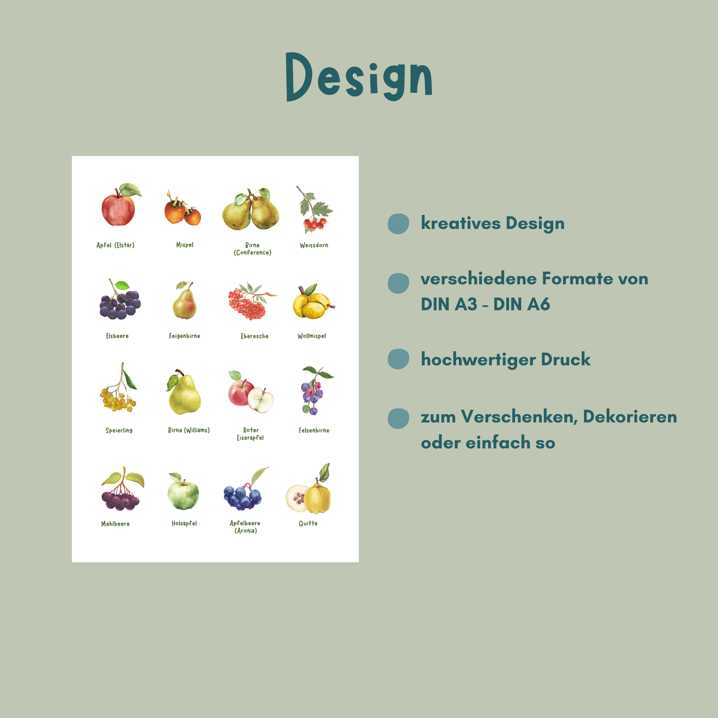 Design Infos