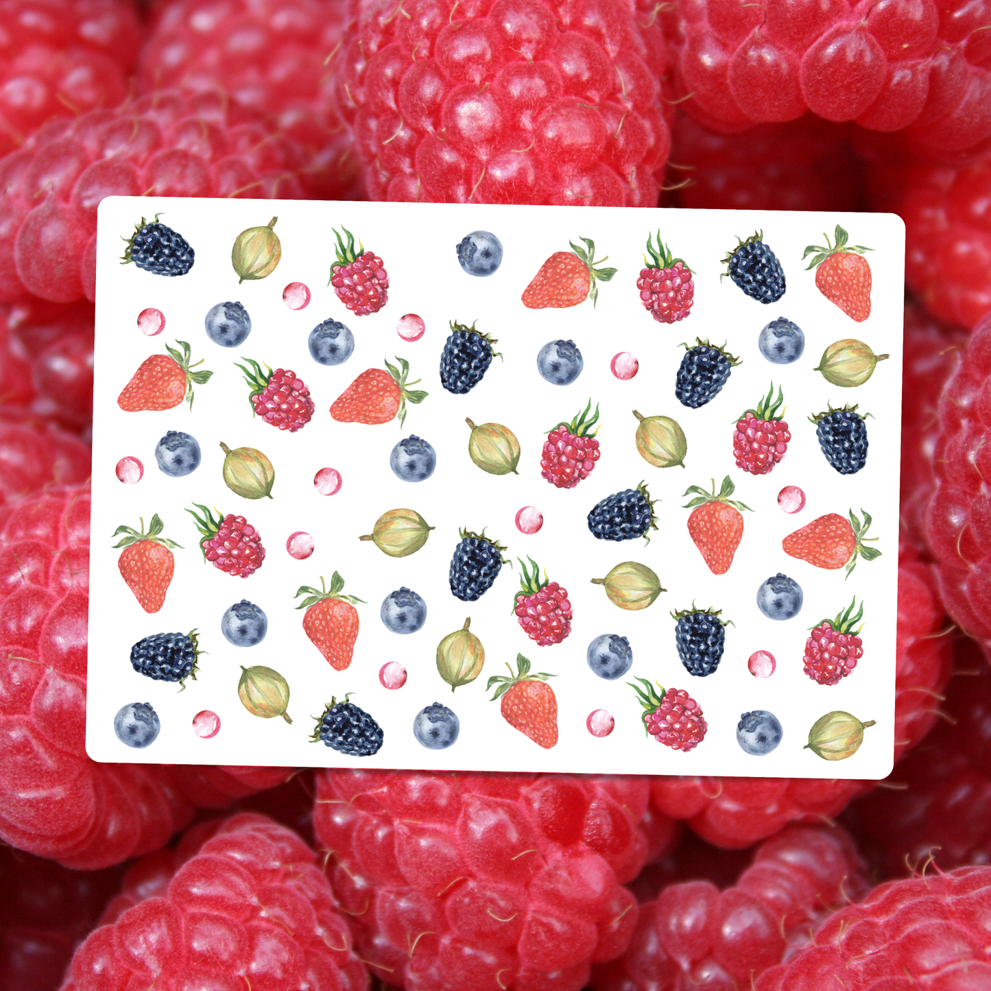 Berries Postcard DIN A6 – Illustrated Greeting Card Strawberries, Blackberries & Currants