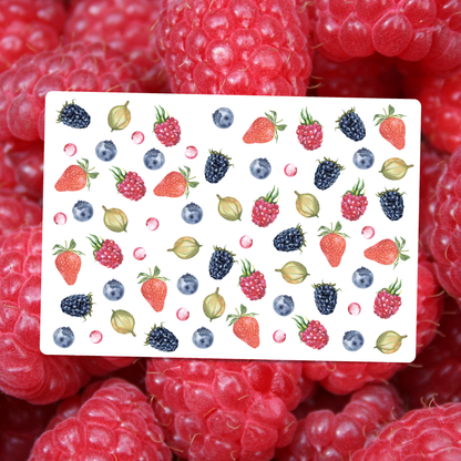 Berries Postcard DIN A6 – Illustrated Greeting Card Strawberries, Blackberries & Currants