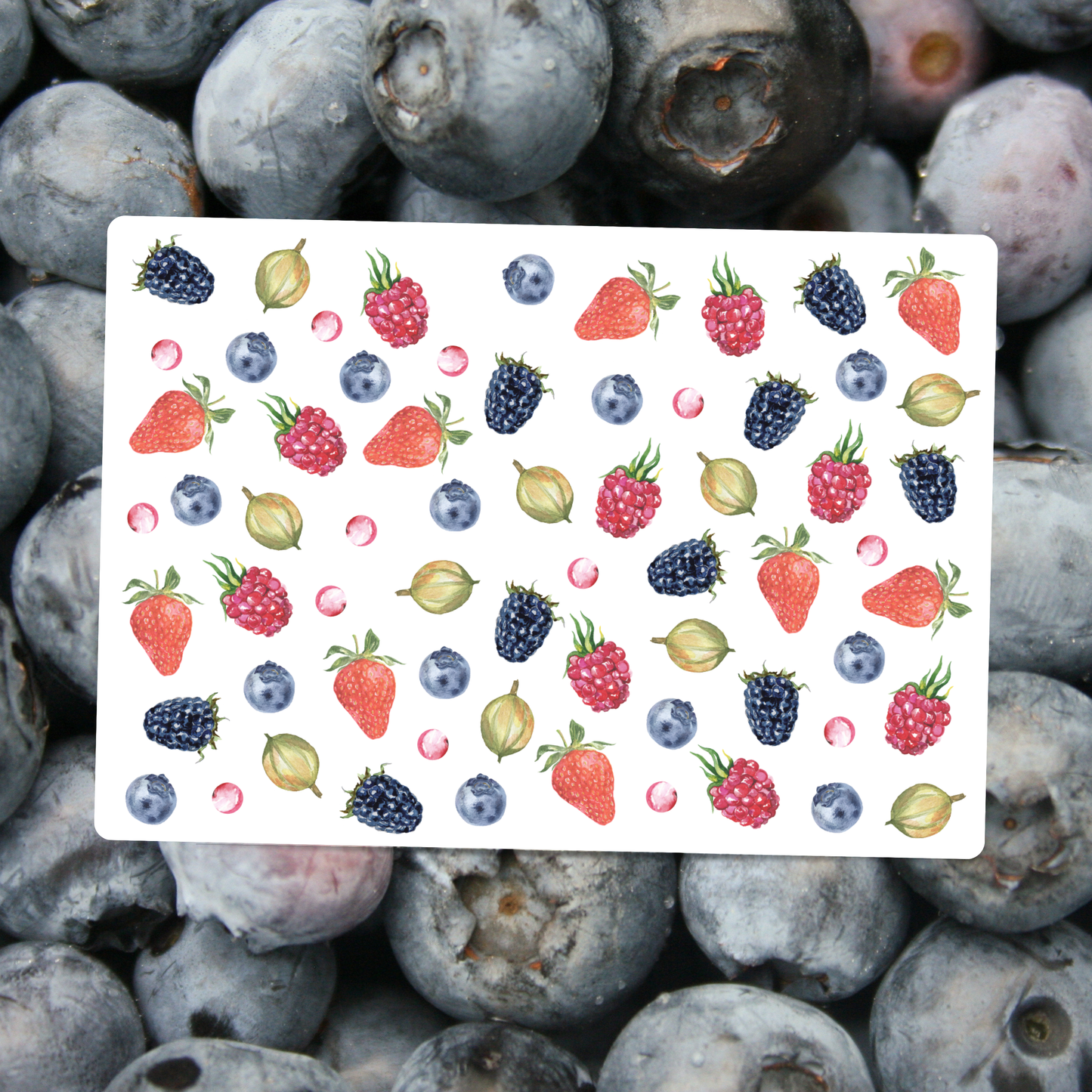 Berries Postcard DIN A6 – Illustrated Greeting Card Strawberries, Blackberries & Currants