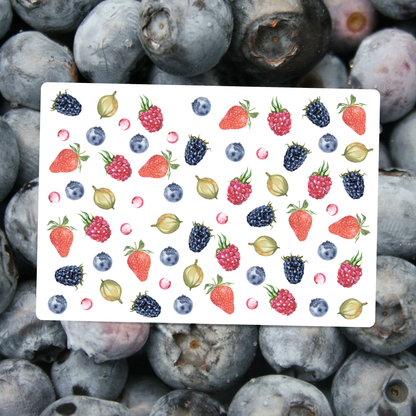 Berries Postcard DIN A6 – Illustrated Greeting Card Strawberries, Blackberries & Currants