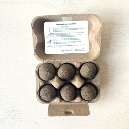 Nahaufnahme Verpackung geöffnet mit Sicht auf die 6 handgearbeiteten Samenbomben bzw. Saatkugeln